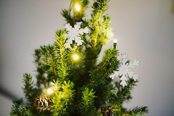 You are currently viewing Zweibrücker schmücken ihre Weihnachtsbäume gemeinsam!